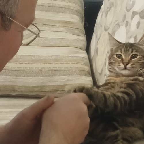 Mınnoş - Sahiplenme İlanı