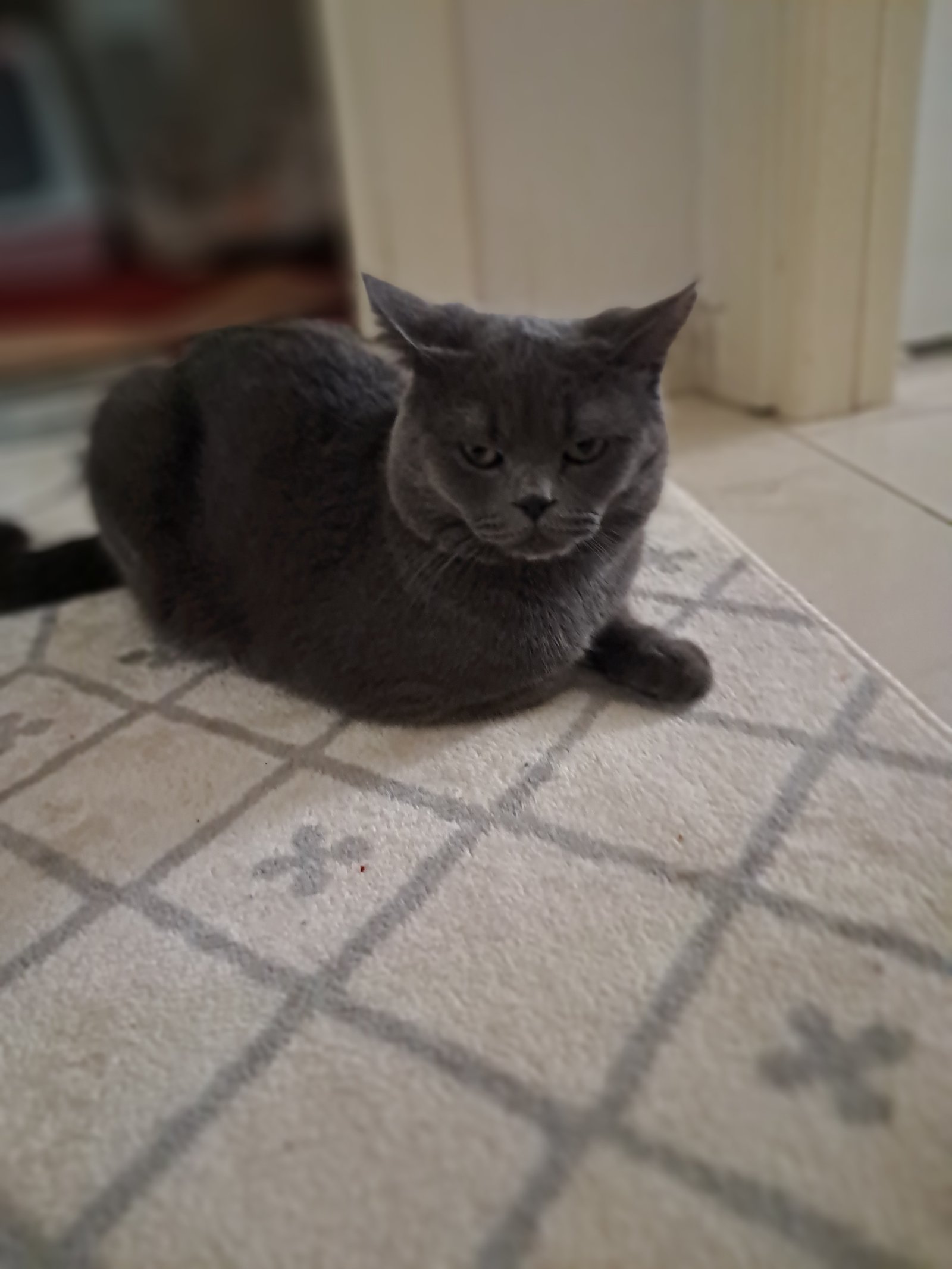 İyi bakabilecek güzel bi ...