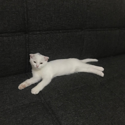 Yavrularım için sıcak bi...