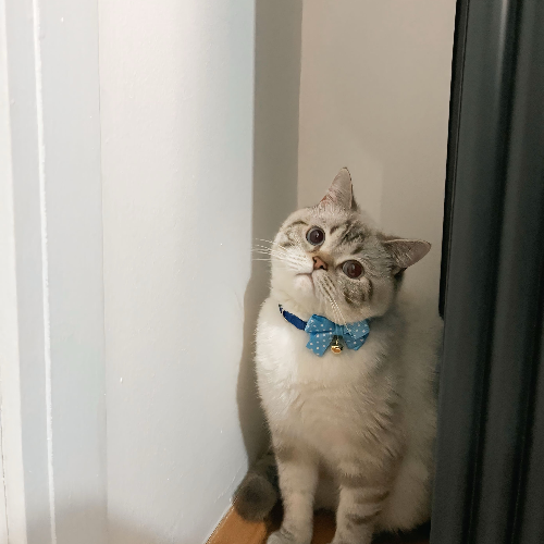 Simbam için güvenili yuva...